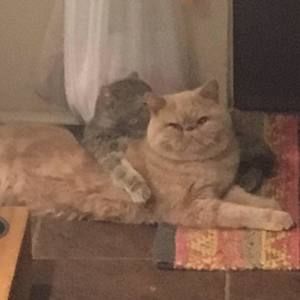 Meet your Posher, Mary